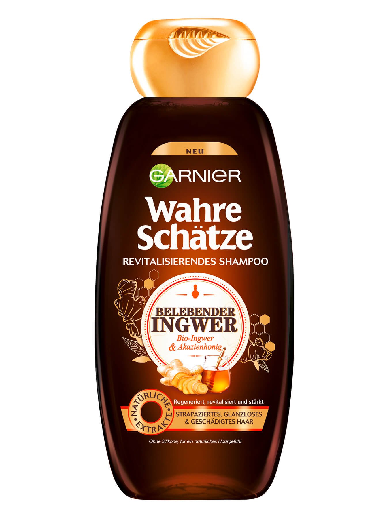 Ingwer Shampoo